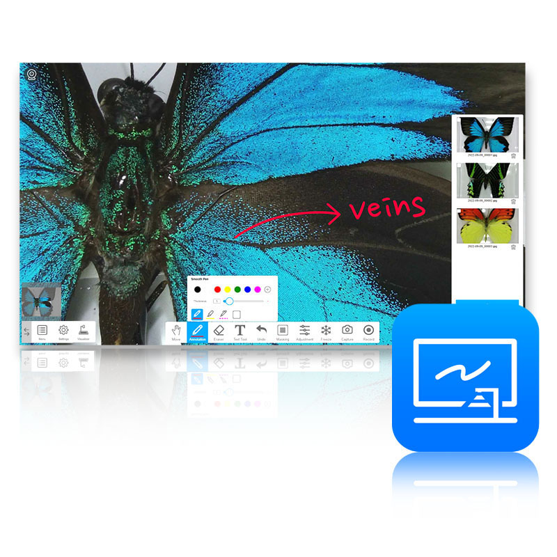 VIISAN ViiShow software for interactive flat panel displays and collaborative teaching with document cameras