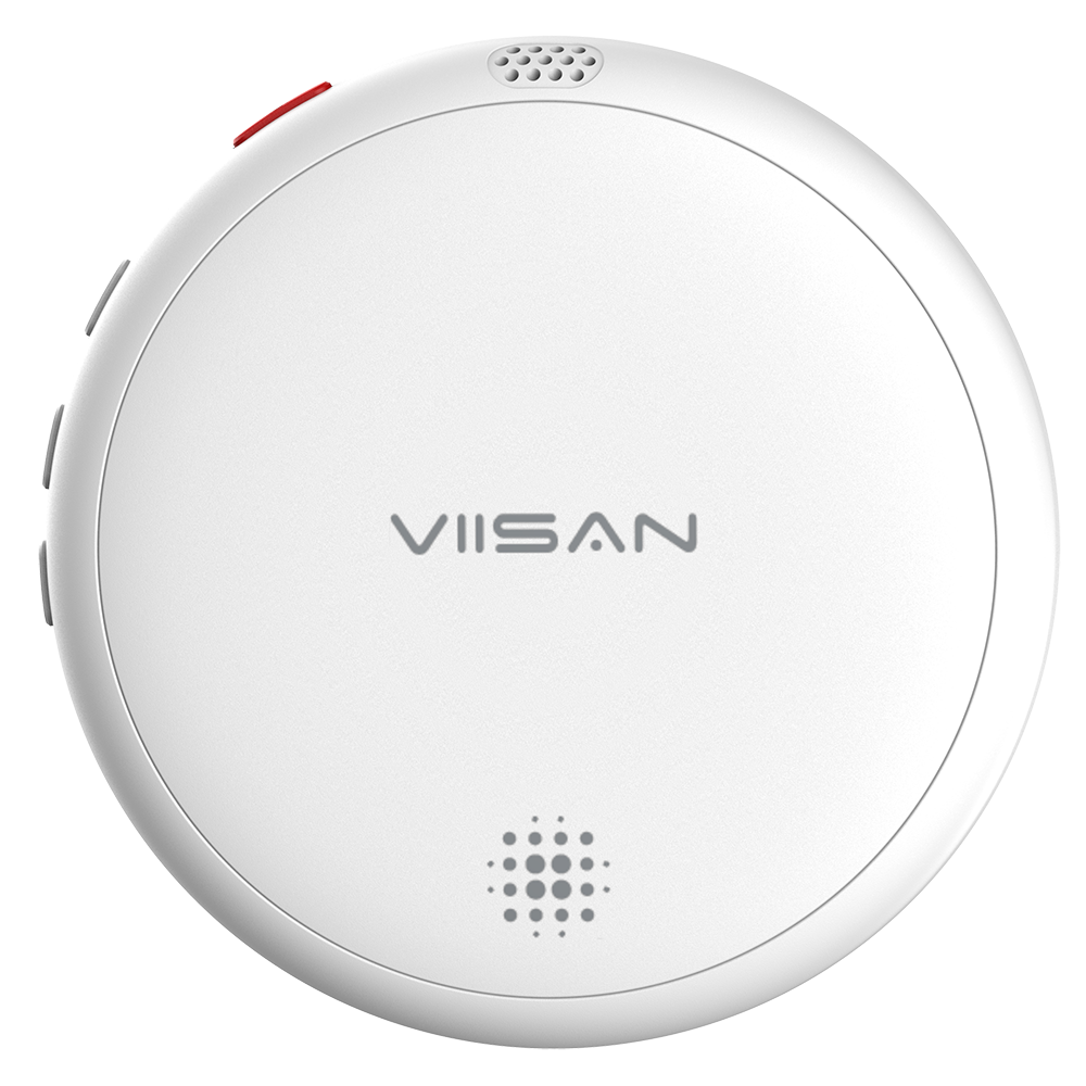 VIISAN AR01 Standard Version