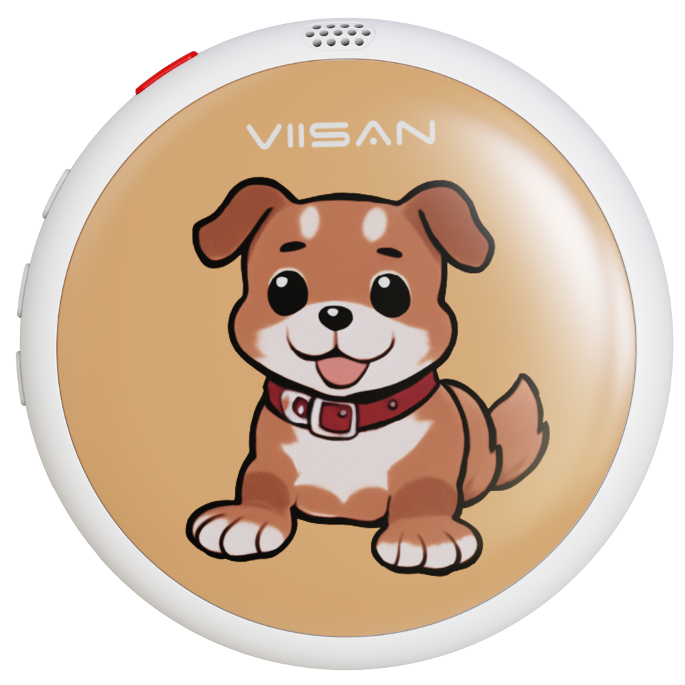 VIISAN AR01 for Kids Version